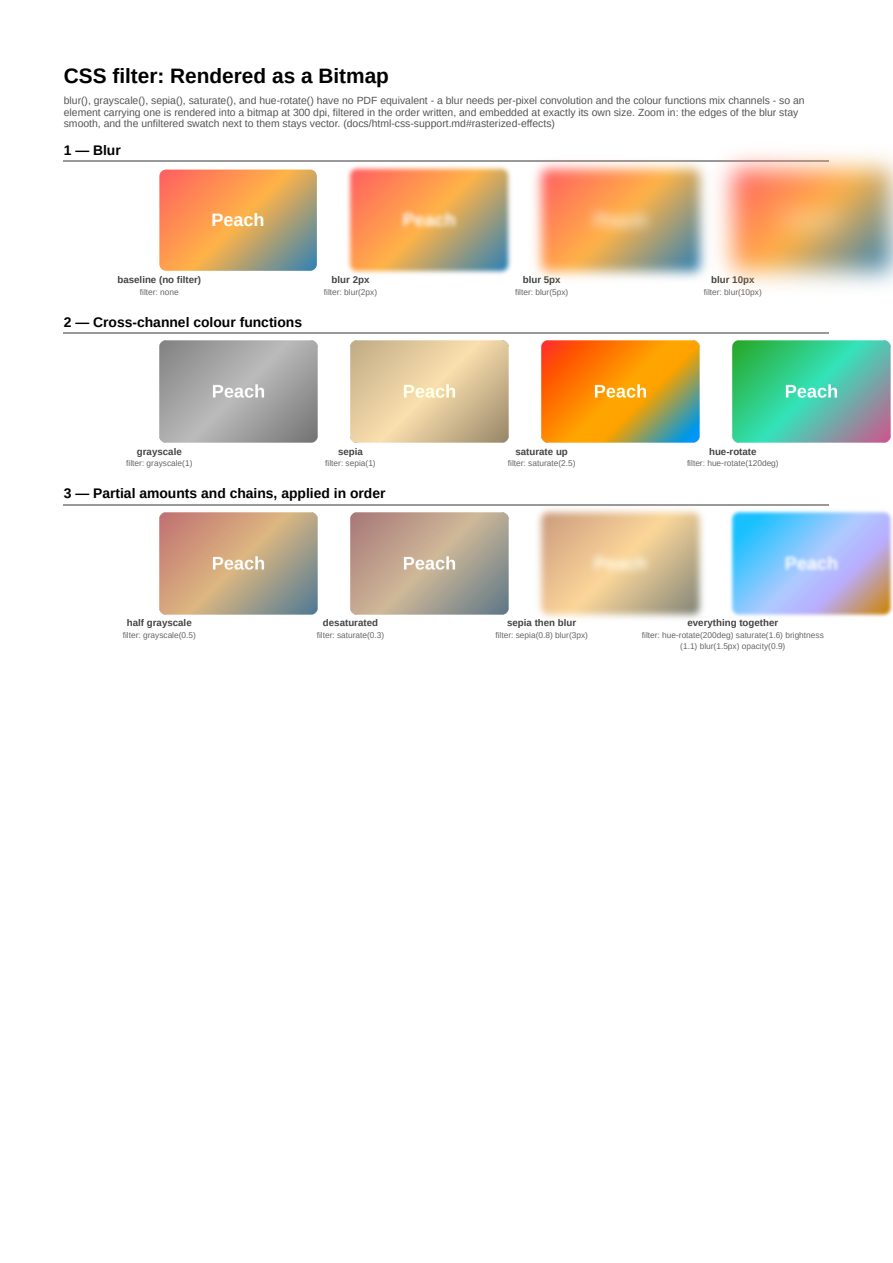 First page of the CSS Filter (Rasterized) showcase PDF