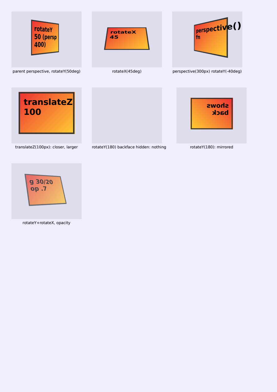 First page of the Perspective and 3D Transforms showcase PDF